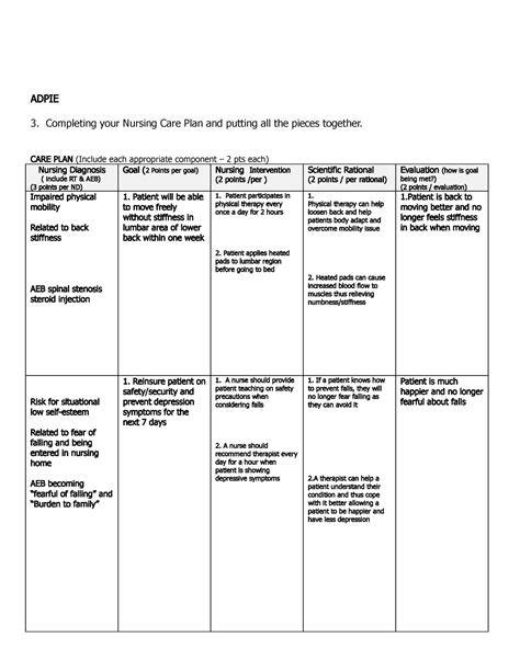 Ageing Adult Care Plan Adpie 3 Completing Your Nursing Care Plan And