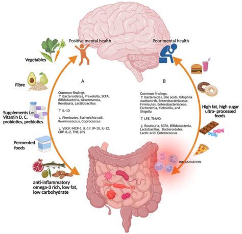 how does gut microbiota impact mental health in 18 25s freeschi