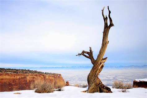 Solitude Color Version Photography Fine Art Print For Sale An Art