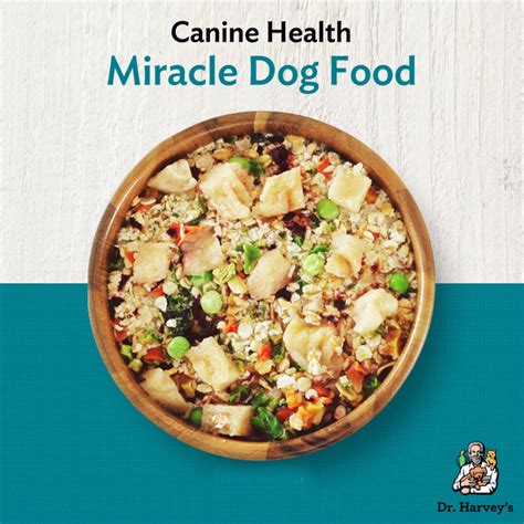 Homemade Kibble Dog Food Recipes Bios Pics