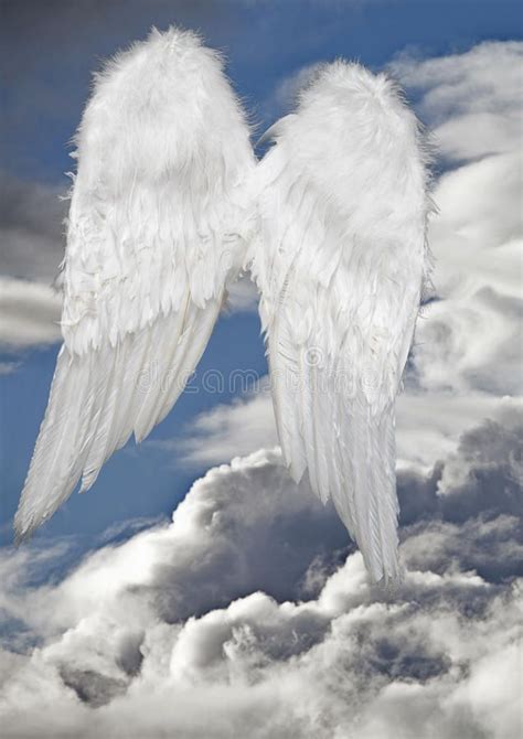 Angel Wings Heaven Stock Image Image Of Flying Purity