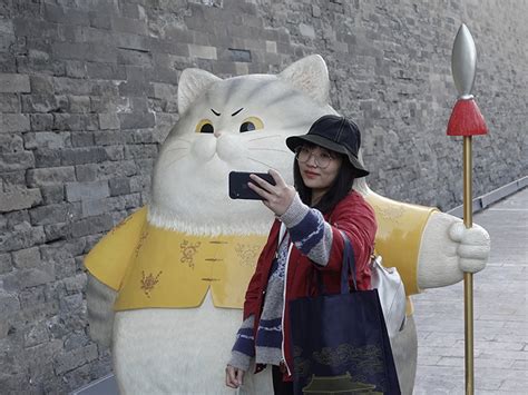 故宫现巨型御猫 你想和谁一起打卡？中部纵览中国网