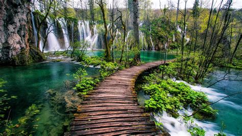 Wooden Dock Between Body Of Water With Trees And Waterfalls During