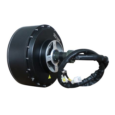 Qs Qsmotor 273 12kw E Car Hub Motor