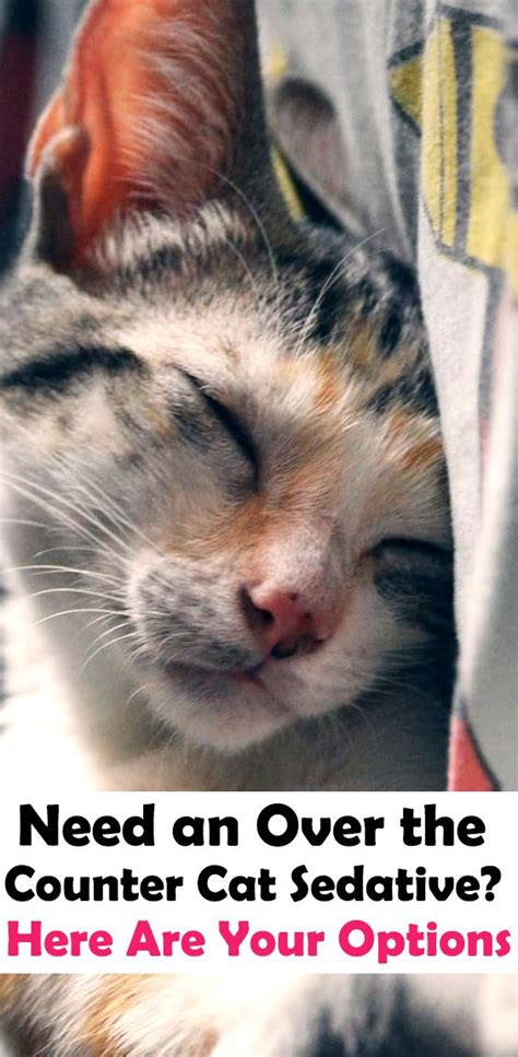You can't simply stick the animal quickly in a pet carrier the way you might if you were driving across town. Need an Over the Counter Cat Sedative? Here Are Your ...