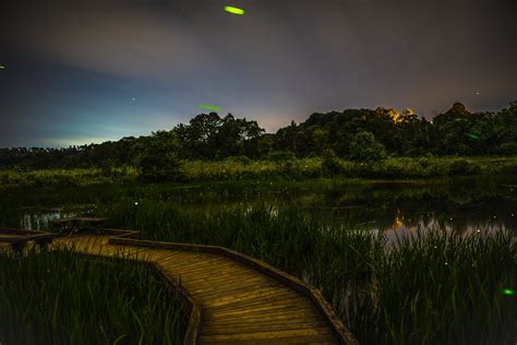 Firefly Photography Mike Lincoln Photography