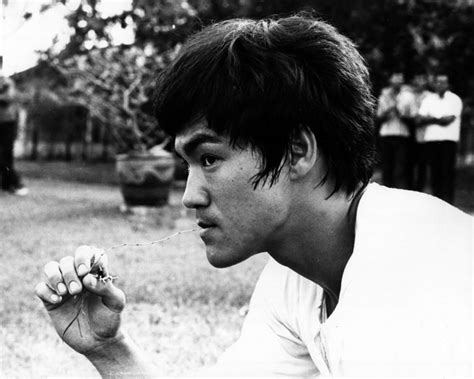 Transcend Media Service Bruce Lees Never Before Revealed Letters To