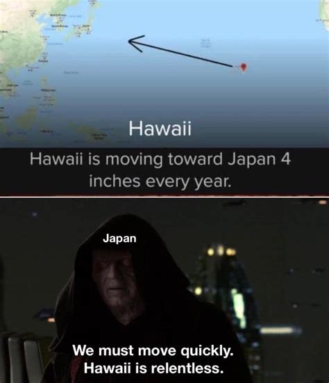The Best Hawaii Memes Memedroid