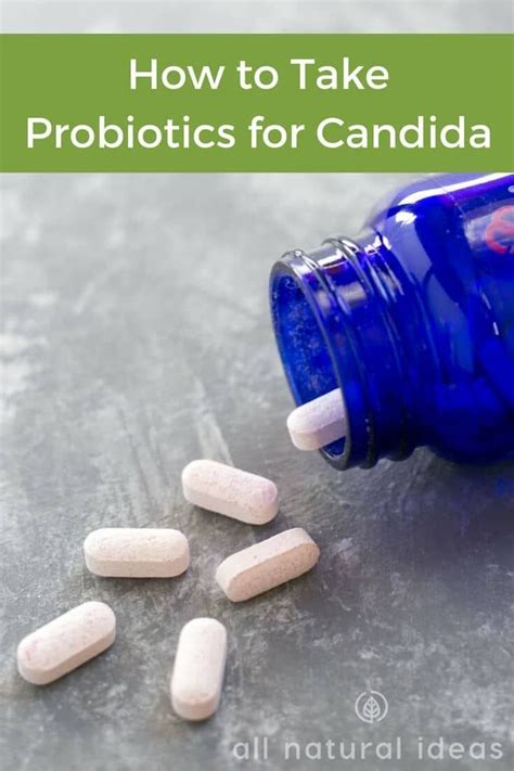 Probiotics For Candida How Many And How Long Candida Yeast