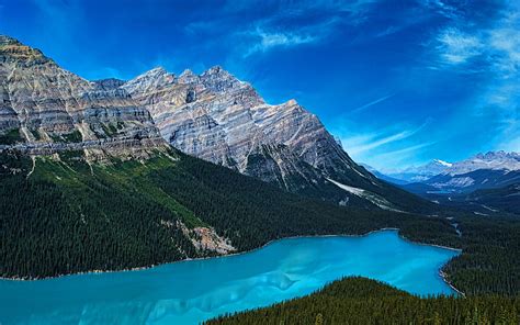 1920x1080px 1080p Free Download Peyto Lake Summer Blue Lake Banff