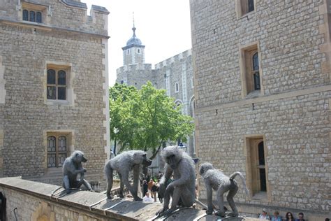 Animais Associados A Torre De Londres
