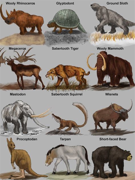 Extinct Animals Pictures And Information When Dinosaurs Went Extinct