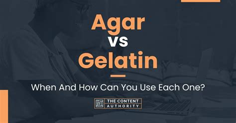 Agar Vs Gelatin When And How Can You Use Each One
