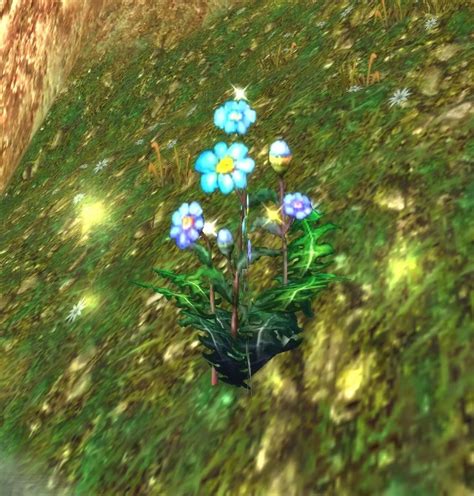 Blindweed Item World Of Warcraft