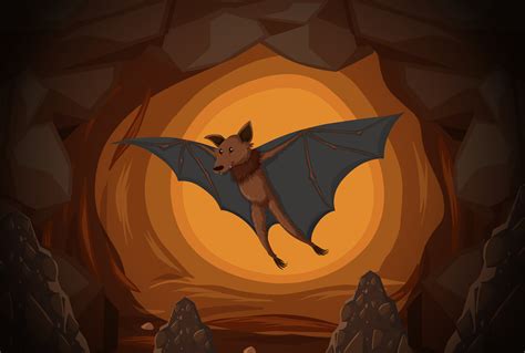 Bat In A Cave 304273 Vector Art At Vecteezy