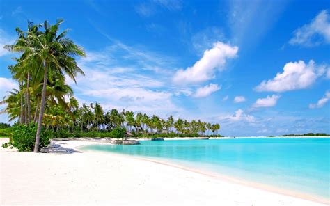 Sea Bay Shore Beach Coast Palm Trees Resort Island Lagoon Cape