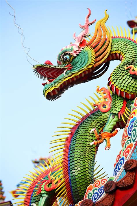 Dragon In Chinese Types History Symbolism And Legends