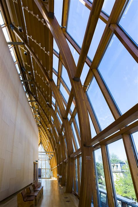 Elvandar 3 - a section of the Art Gallery of Ontario in Toronto | Art gallery of ontario, Art ...