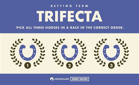 Trifecta Horse Betting Explained | Odds Shark