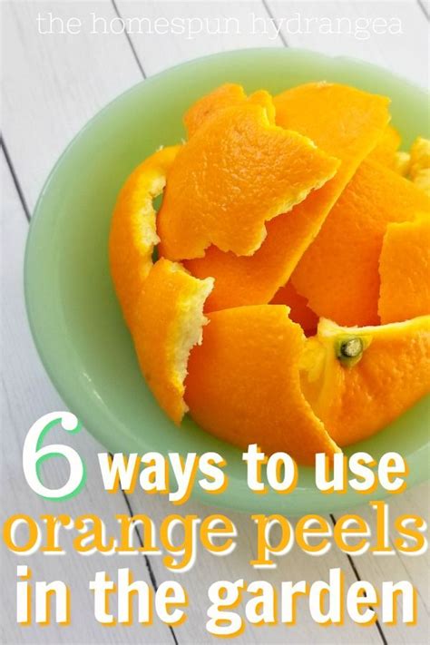 Ways To Use Orange Peels In Your Garden The Homespun Hydrangea