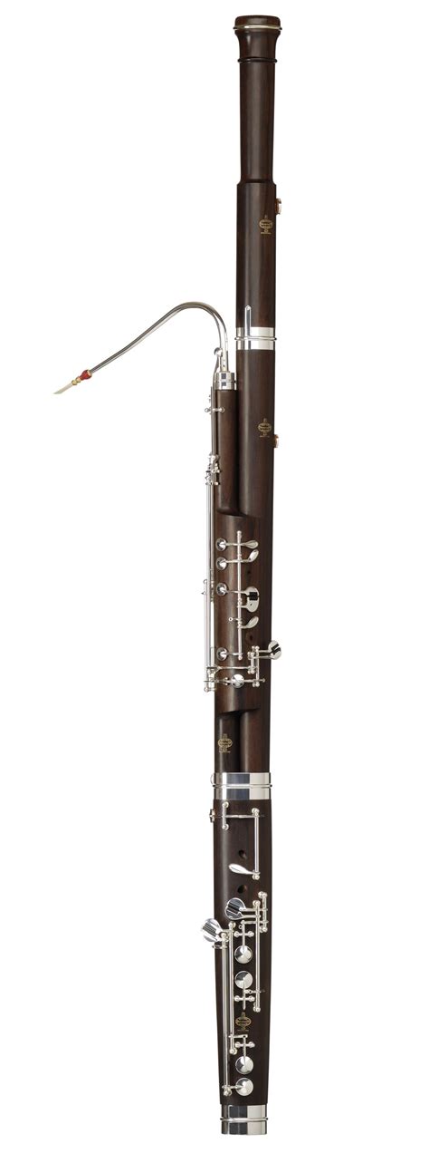 How To Play Bassoon Unugtp News