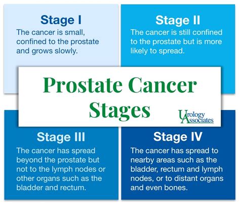 Prostate Cancer Th Stage Treatment Prostateprohelp Hot Sex Picture