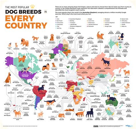 Dog Breeds Map The Country Every Major Breed Of Dog Comes From