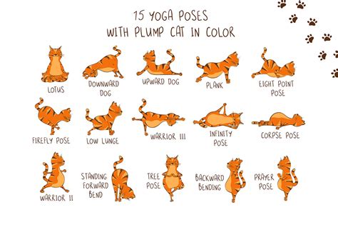Yoga Cats By Annykos Thehungryjpeg