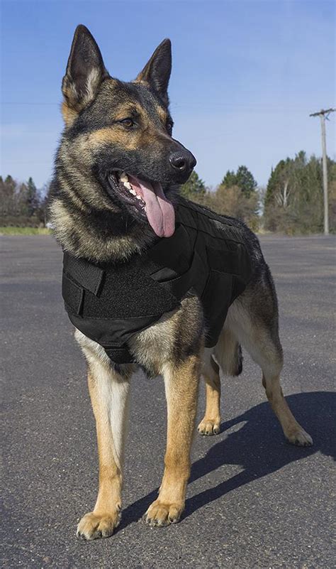 K9 Dog Training Equipment K9 Tactical Gear Buy Caliberdog K9