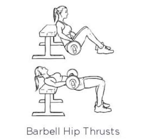 Weighted Hip Thrusts Ejercicios