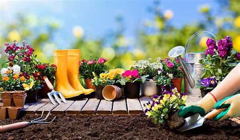 Gardening Starts With Good Soil