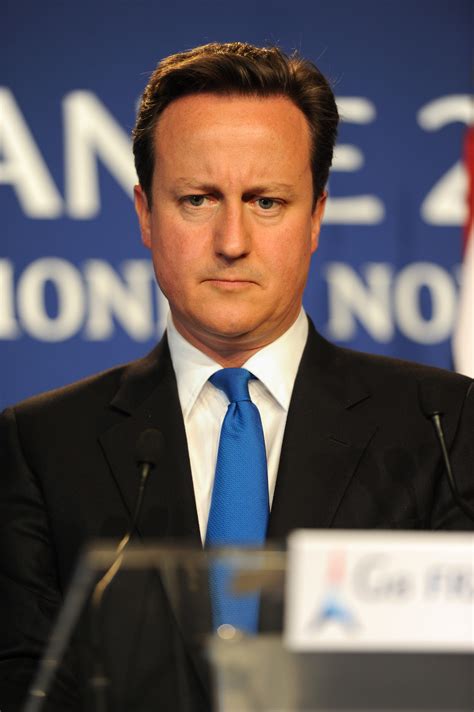 Filedavid Cameron At The 37th G8 Summit In Deauville 104