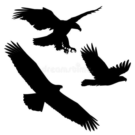 Silhouette Black Eagle Flying Stock Illustrations 11288 Silhouette
