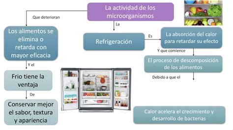 Métodos De Conservación De Alimentos Refrigeración Youtube