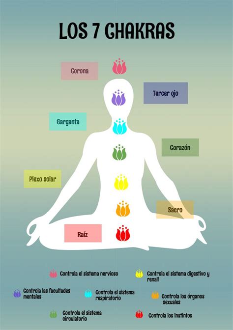 Chakras Qué Son Y Cómo Influyen Para Tener Una Vida Más Armoniosa