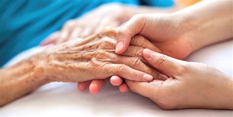 Palliative And End Of Life Care Care Plus Group