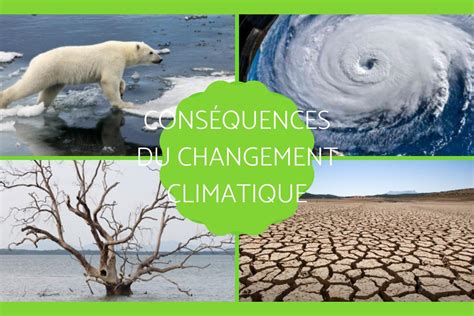 de GRAVES conséquences du changement climatique