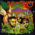 Done By The Forces Of Nature (Deluxe Edition) by Jungle Brothers - Pandora