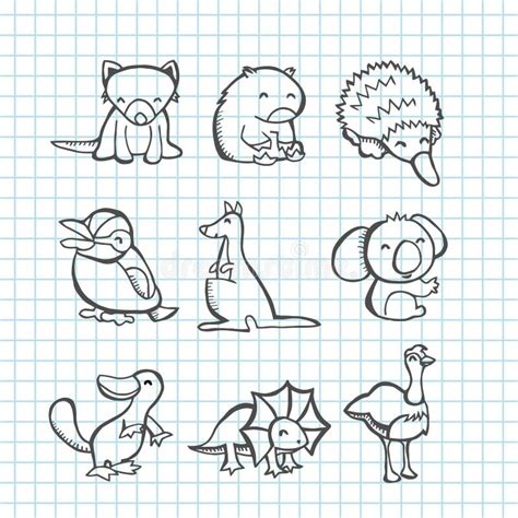 Australian Animals Doodle Line Art Stock Illustration Illustration Of