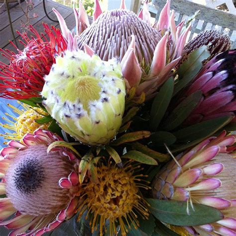 We are gmd proteas enterprises ltd, a professional building administrator and maintenance company based in limassol. Proteas On Maui - A Maui Blog