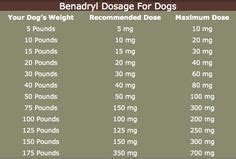 Benadryl is totally safe to give to cats as long as you follow standard dosing instructions and know how to identify when your pet needs medication. Helpful list of foods that dogs can/can't eat :) | It's a ...