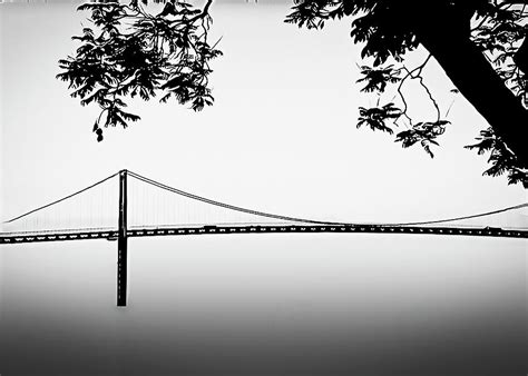 Vincent Thomas Bridge Simplicity Photograph By Joseph Hollingsworth