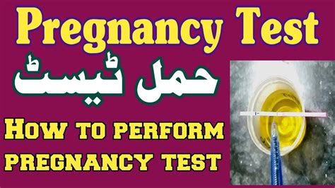 How To Perform A Urine Pregnancy Testگھر میں حمل ٹیسٹ کرنے کا طریقہ Youtube