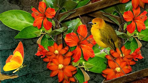 Bright Flowers Bird Butterfly Hd Desktop Wallpaper Widescreen High