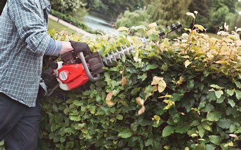 The Best Hedge Trimmers Garden Power Tools