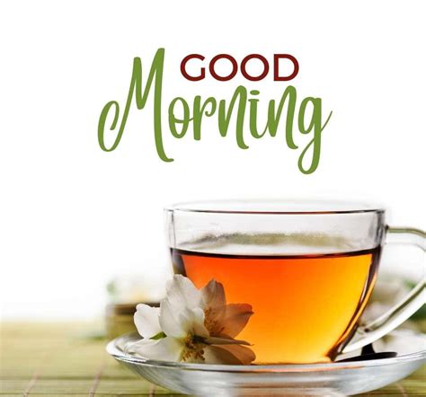 Amazing Collection Of Full 4k Hd Good Morning Tea Images Top 999