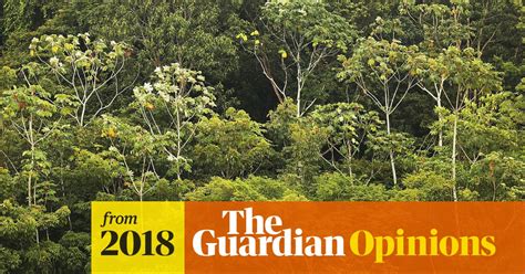 The Guardian View On Climate Change A Global Emergency Editorial