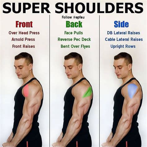 Super Shoulders By Apfau Shoulder Workout Routine Deltoid Workout