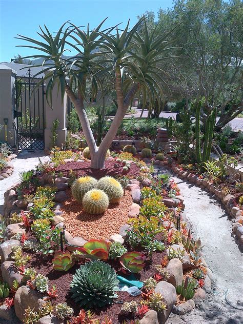 30 Beautiful Desert Garden Design Ideas For Your Backyard Jardín De