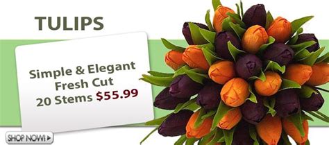 Buy flowers online, roses, lilies, tulips, mixed bouquets, arrangements, same and next day flower delivery from bloomex australia. Fresh Cut Wholesale Flowers Online for Sale